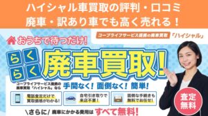 ハイシャルの評判記事アイキャッチ